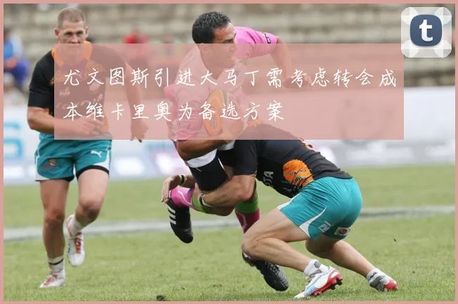 尤文图斯引进大马丁需考虑转会成本维卡里奥为备选方案